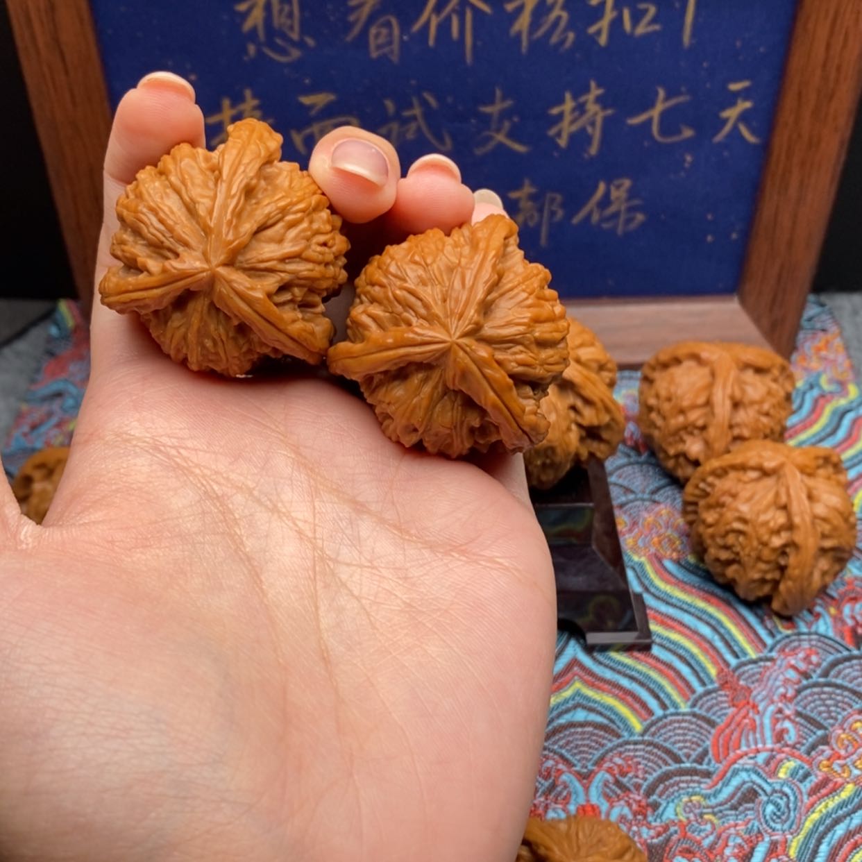 【闪购商品】t***r白狮