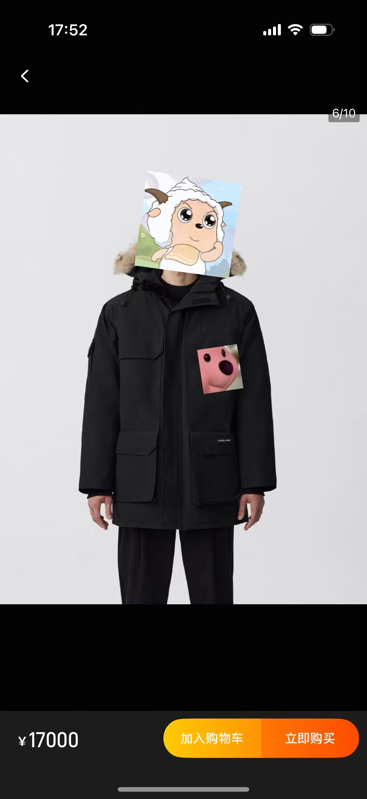 菲菲的店鹅鹅鹅羽绒服（高版本低价，相当到位的货