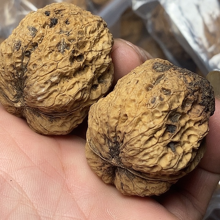 文玩核桃把件志成云铁文玩94