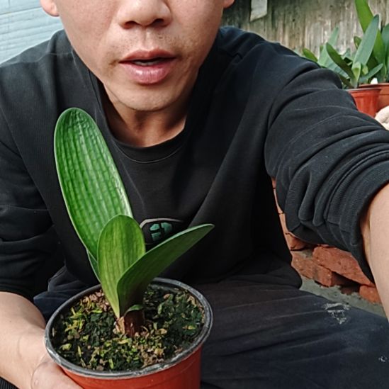 【闪购商品】完全开放