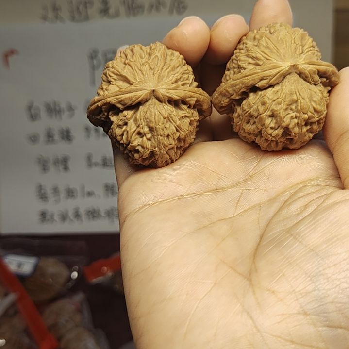 核桃手串/手链嗜*白狮子