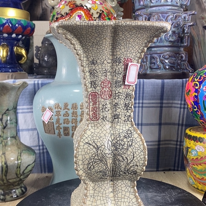 陶泽如花儿盛开了