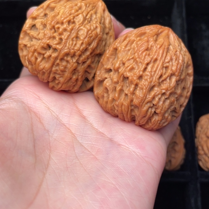 秦岭野生核桃文玩