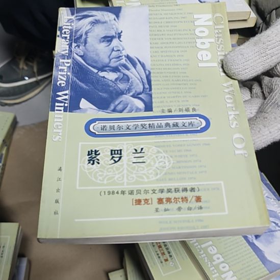 紫罗兰平装库存书库存书