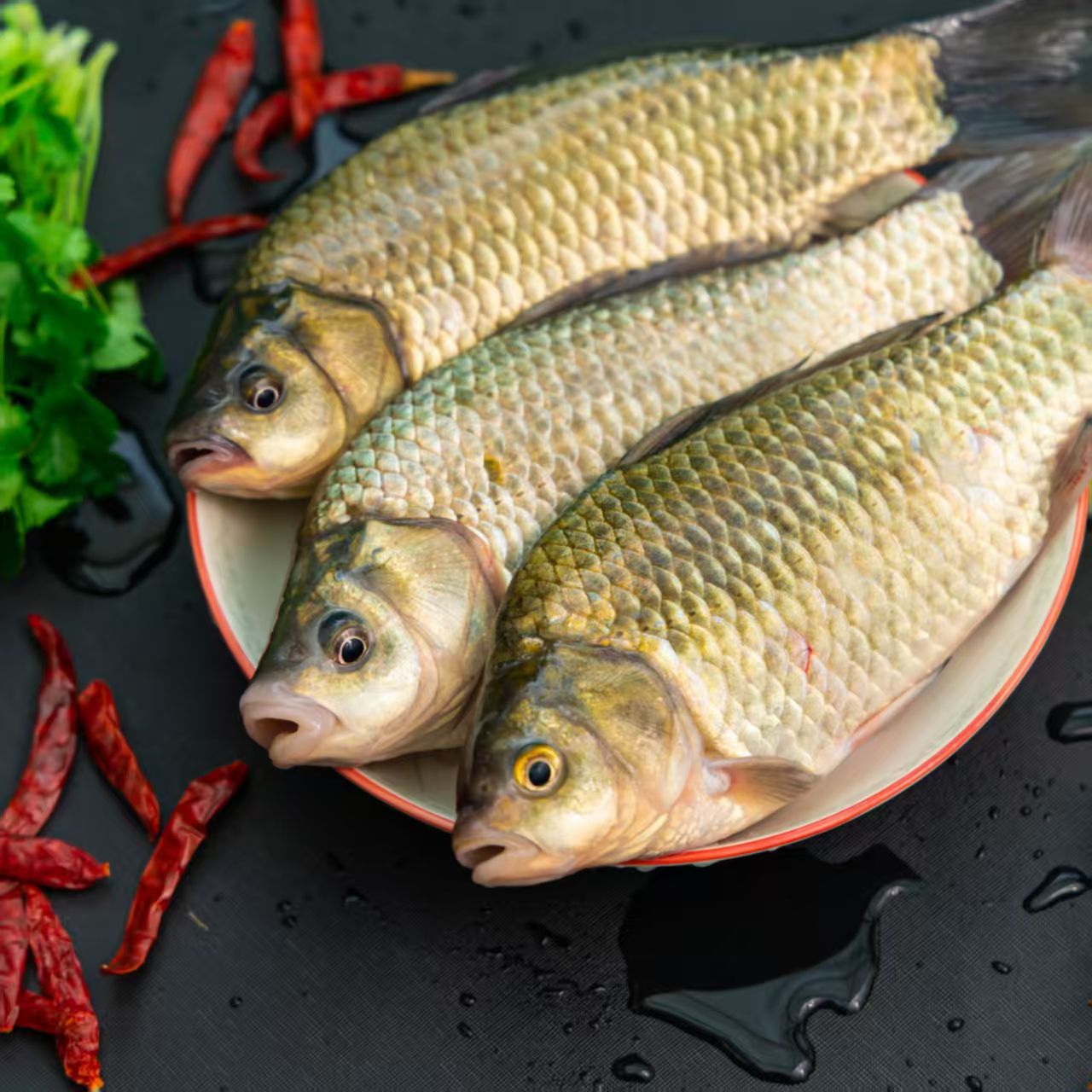 【纯野生】微山湖野生鲫鱼新鲜鲜活鱼现杀孕妇月子炖汤淡水鱼草鱼头