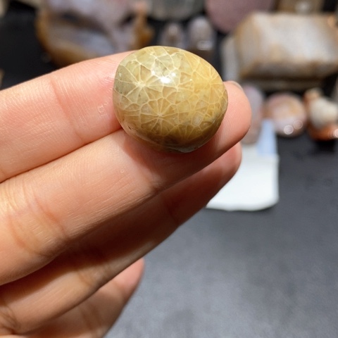 【闪购商品】硅化玉吊坠(不含链)未镶嵌
