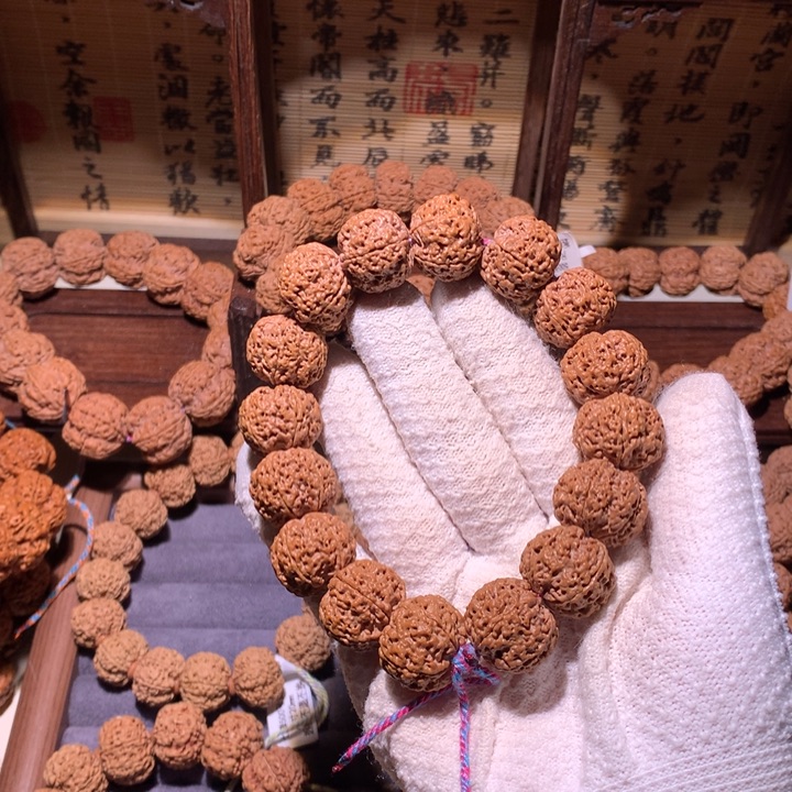心***追手串金刚菩提19肉
