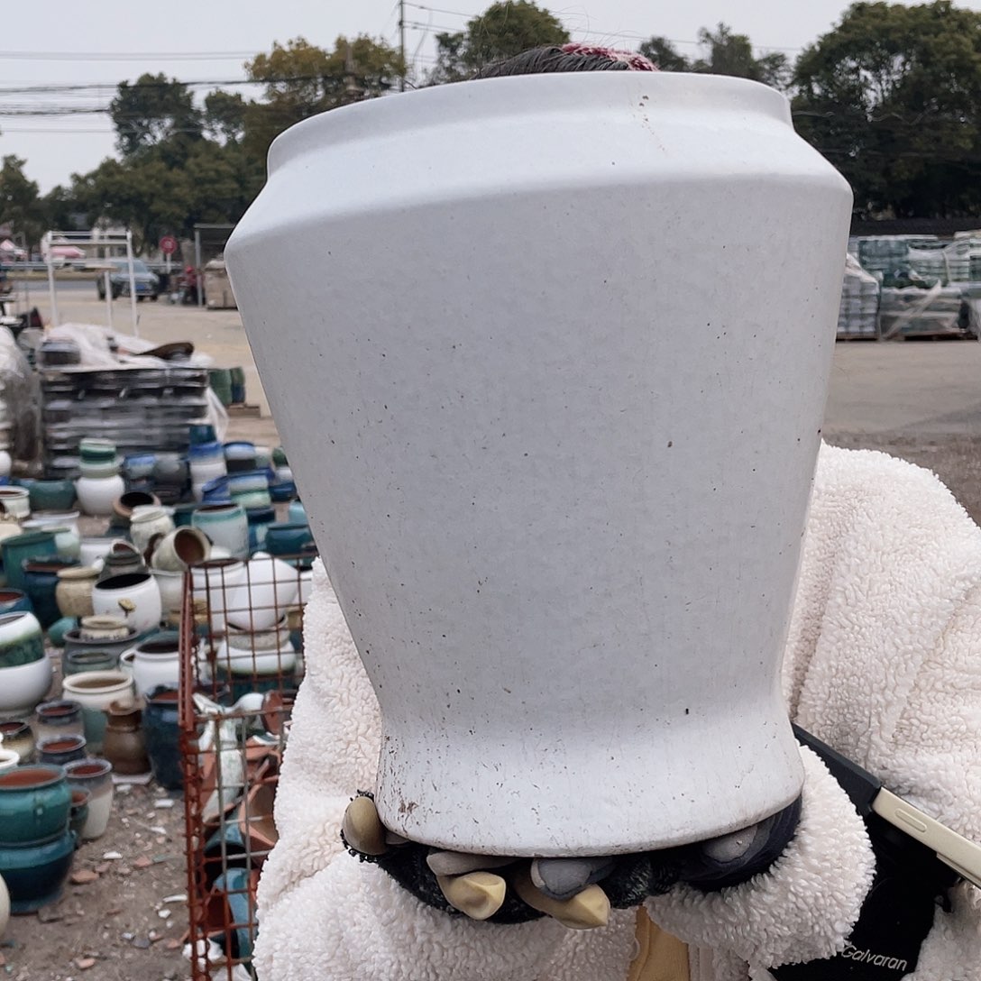 红陶宋白大收口王嫂花盆直播0222 王嫂花盆直播