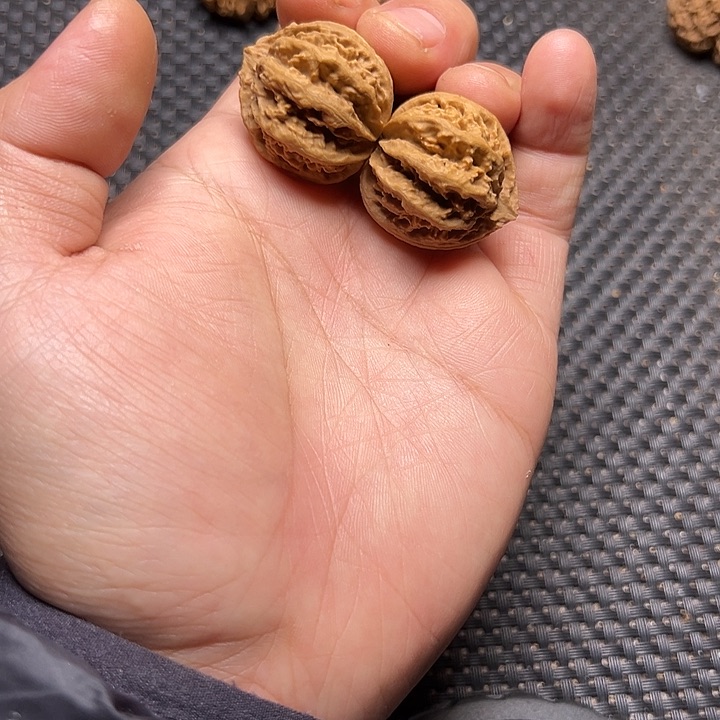 文玩核桃吊坠霸王龙