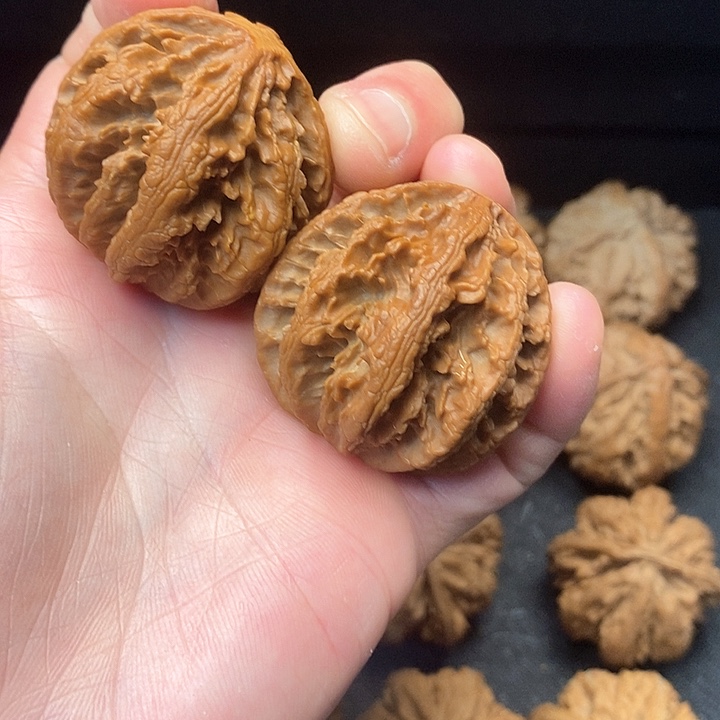 我是一只小小鸟的小猫