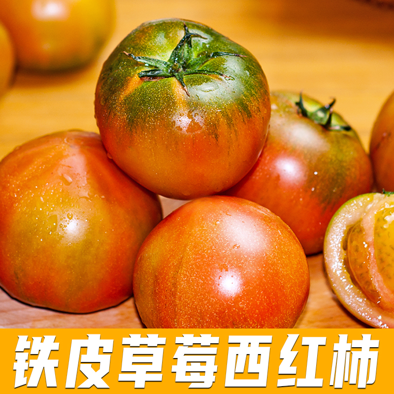 东北草莓番茄铁皮柿子绿锭柿子西红柿碱地产地直发新鲜现摘中果