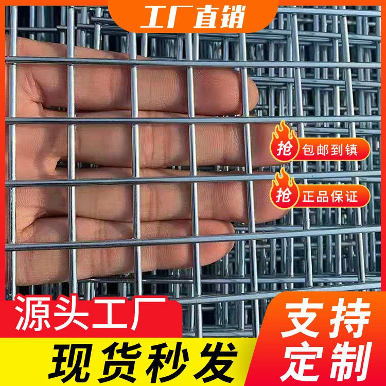 1.5公分方孔热镀锌铁丝网片网格养殖网鸟笼狗笼子鸽舍围网底网