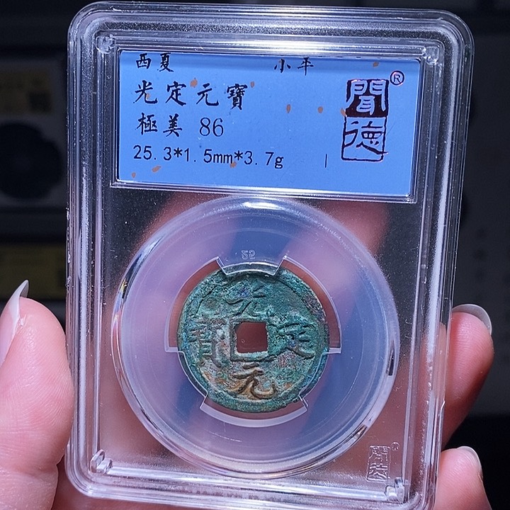铜瀚海文物A光定元宝1008