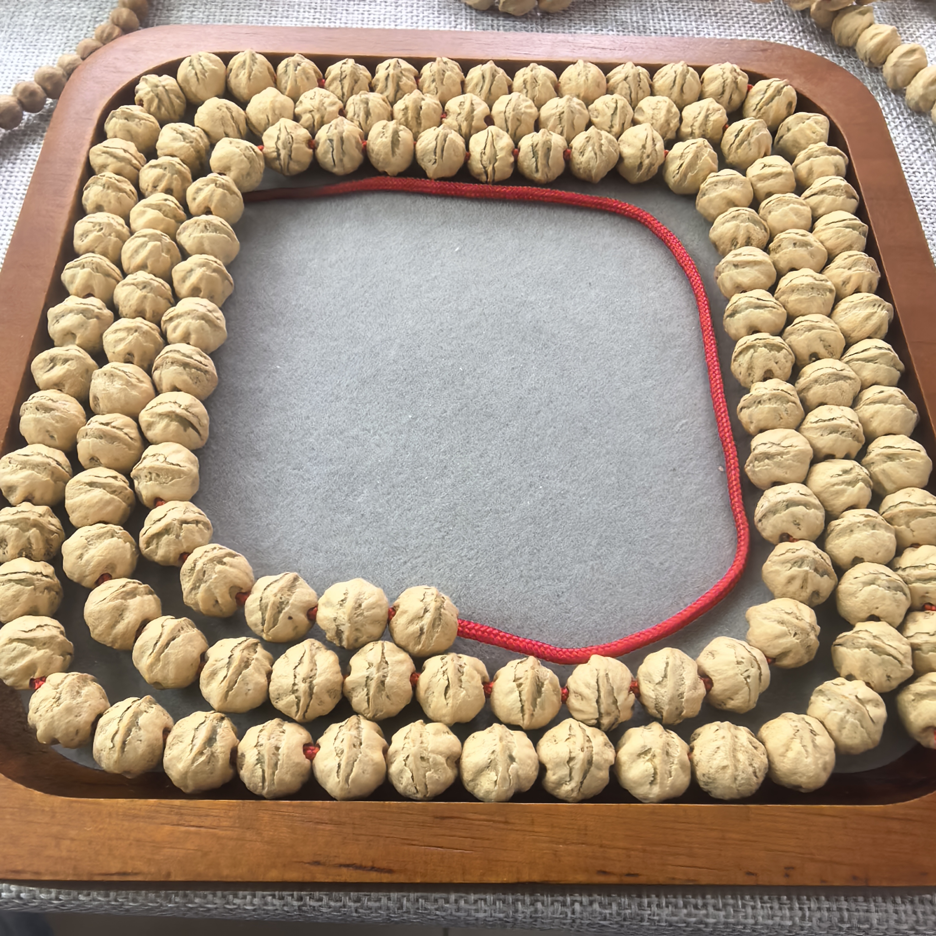 高油高密奶油皮大尺寸原桩横打百香籽手