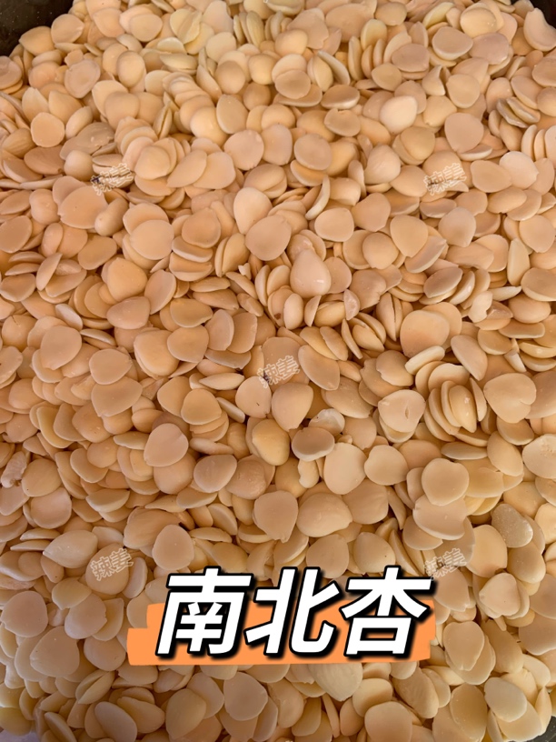 辣姜精选 南北杏
