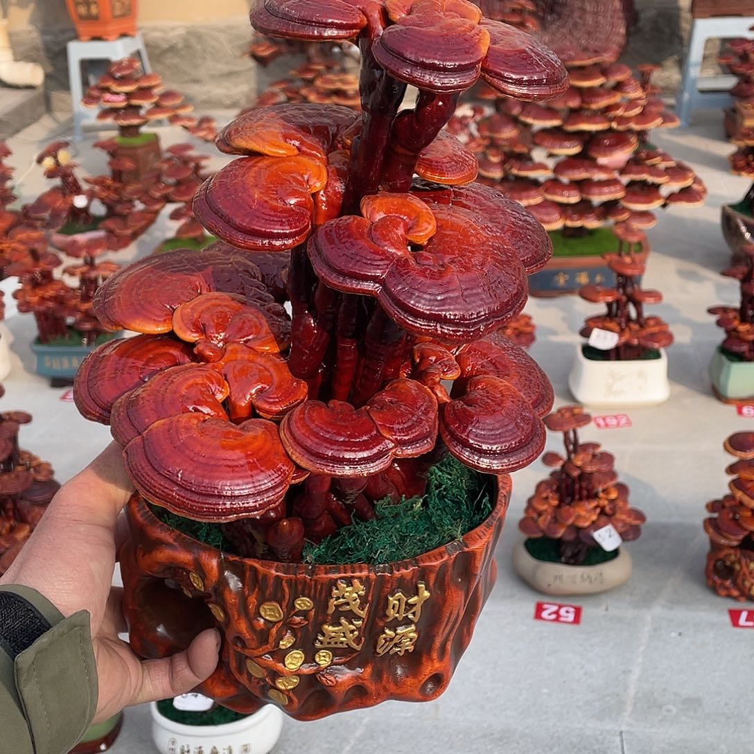 无花朵8888888888888888