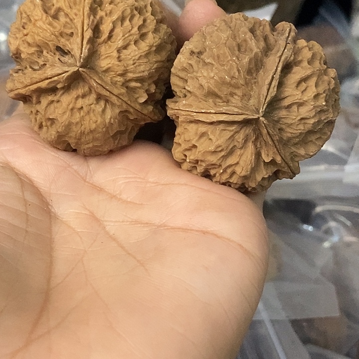 文玩核桃把件云南铁核桃基地55