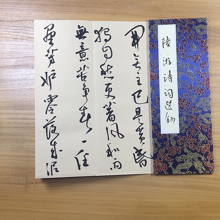 书法中书协会员作品