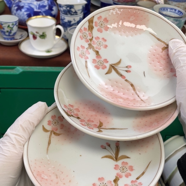 陶他家瓷器真美…开播了