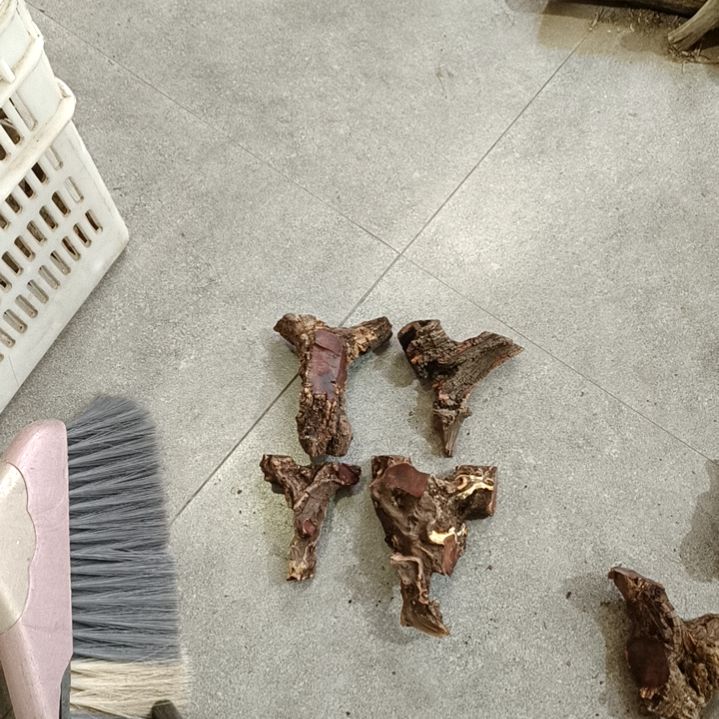 $***”香榧木火琉璃疙瘩毛料毛料毛料