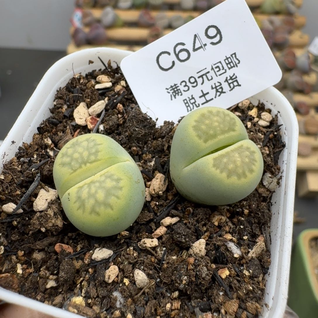 649哈哈哈哈哈哈哈哈哈