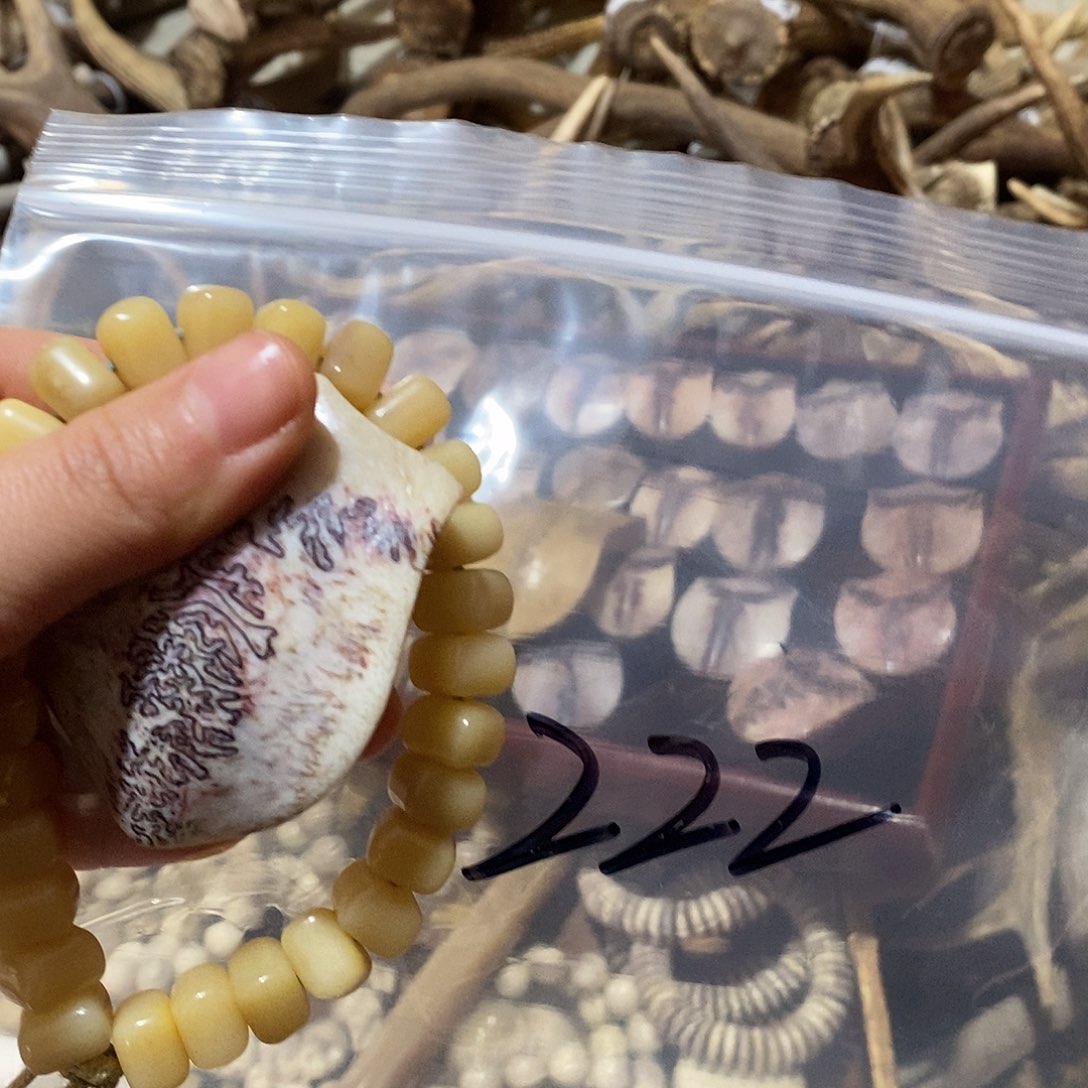 ****非金属鹿骨鹿骨三界三界