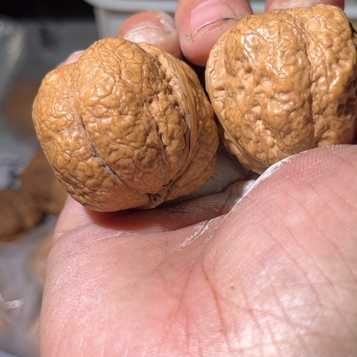 文玩核桃吊坠滇西铁核桃46