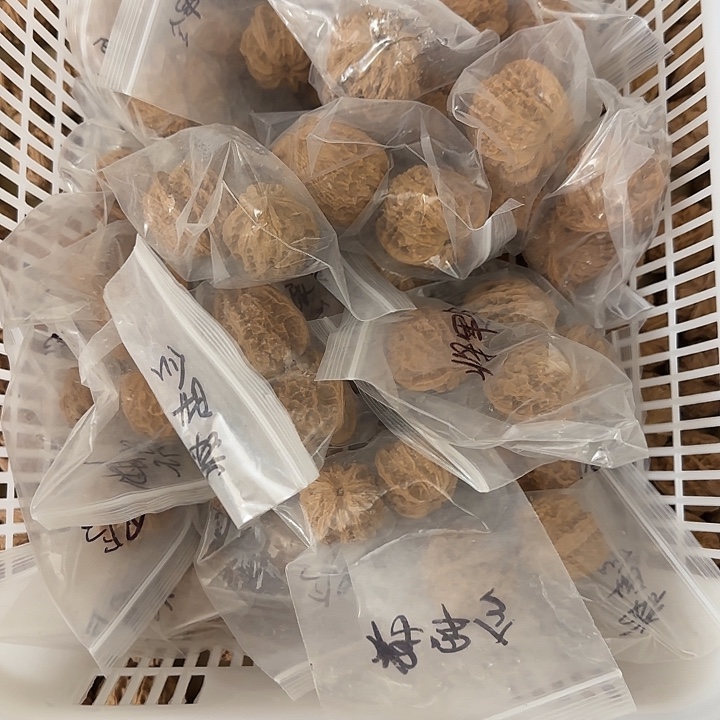 吊坠文玩核桃两对