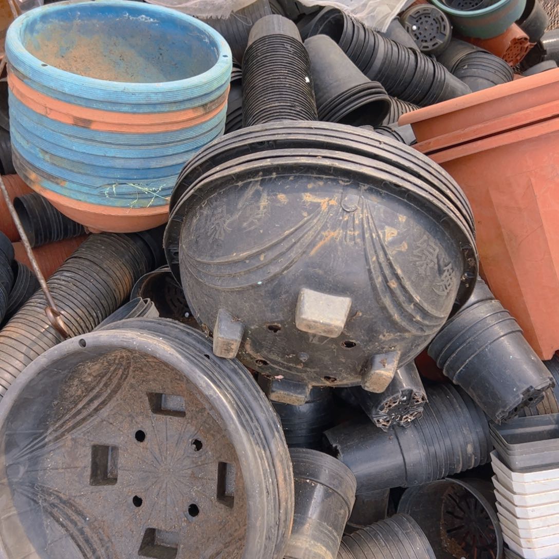 大吊兰盆34口径15高 5个 