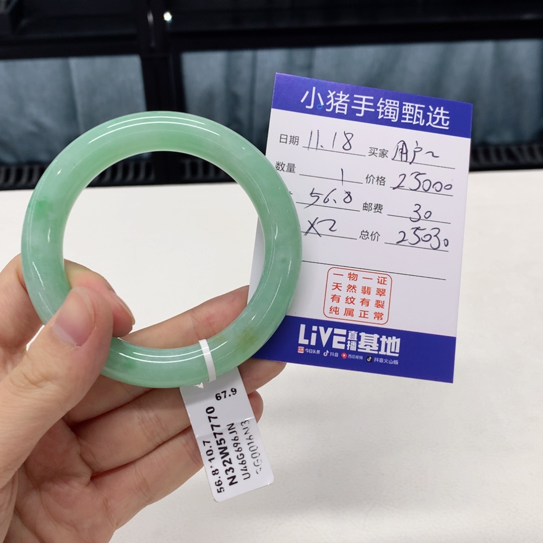 未镶嵌手镯翡翠用****4