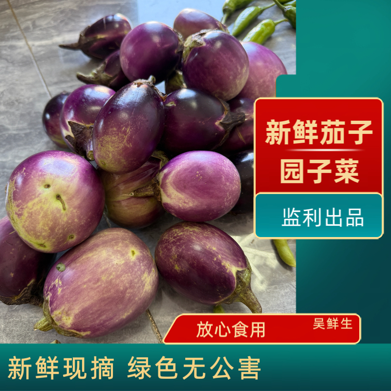 湖北监利本地 新鲜现摘 鲜嫩紫皮茄子 园子菜