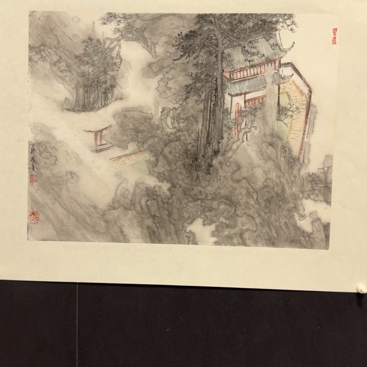 国画我现在还在家看