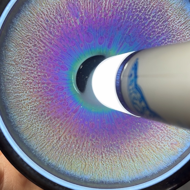 茶盏建盏主人一只