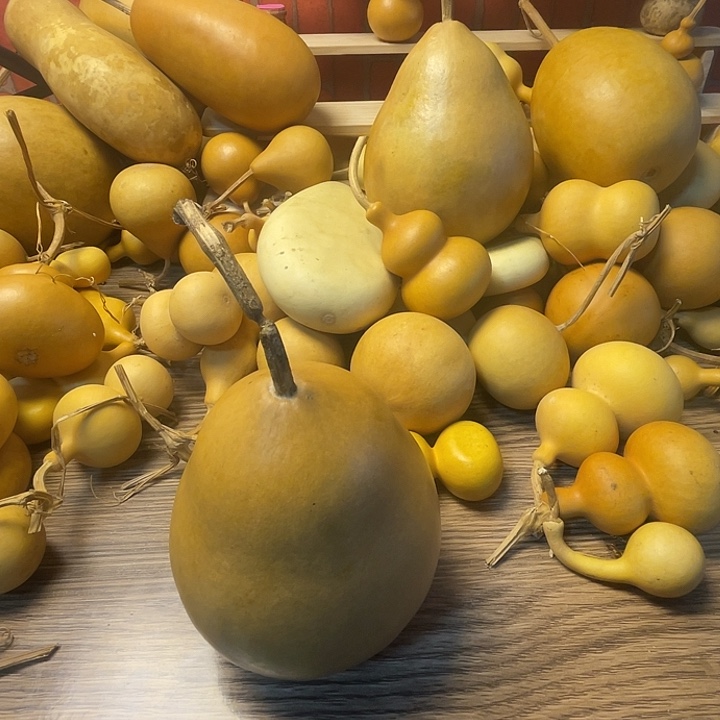 顶***上哈哈哈哈哈哈哈哈