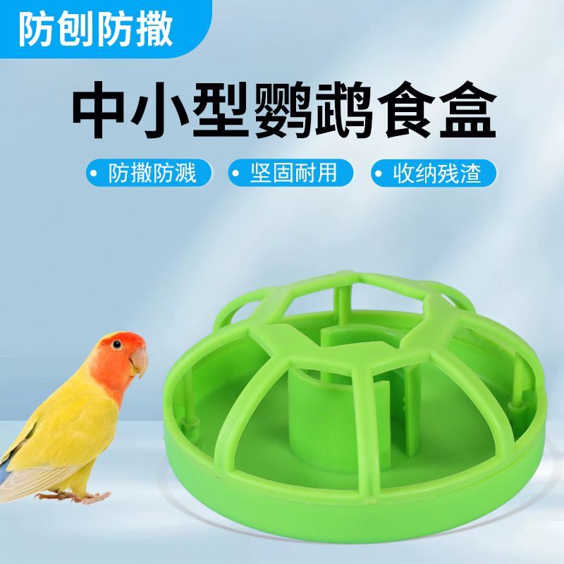 鹦鹉幼鸟学吃食盒防撒食盆自动下料器喂食器小型鸟类宠物鸟用具
