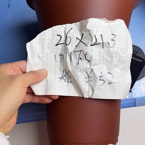 红陶紫砂22222222222