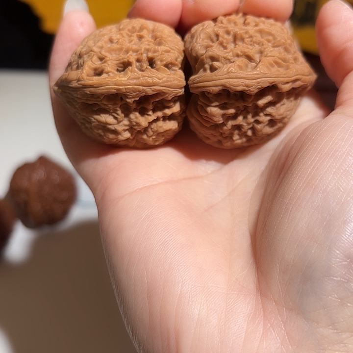 快***欢大叶紫檀（黑酸枝木类）