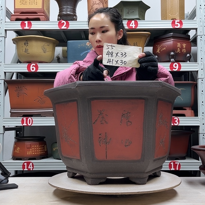 紫砂花盆紫砂花盆