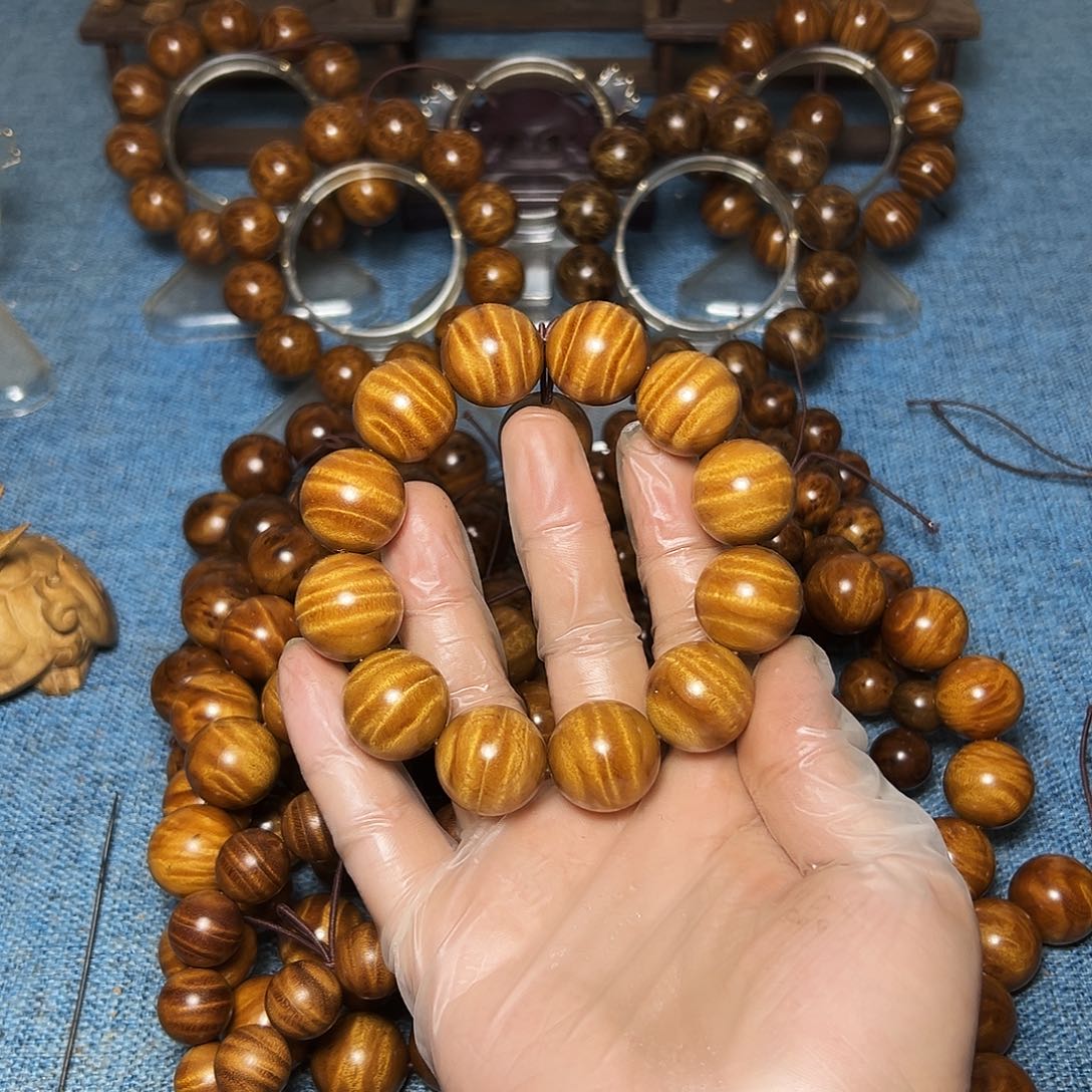 金丝楠小*女金丝楠枯木大西瓜2.0