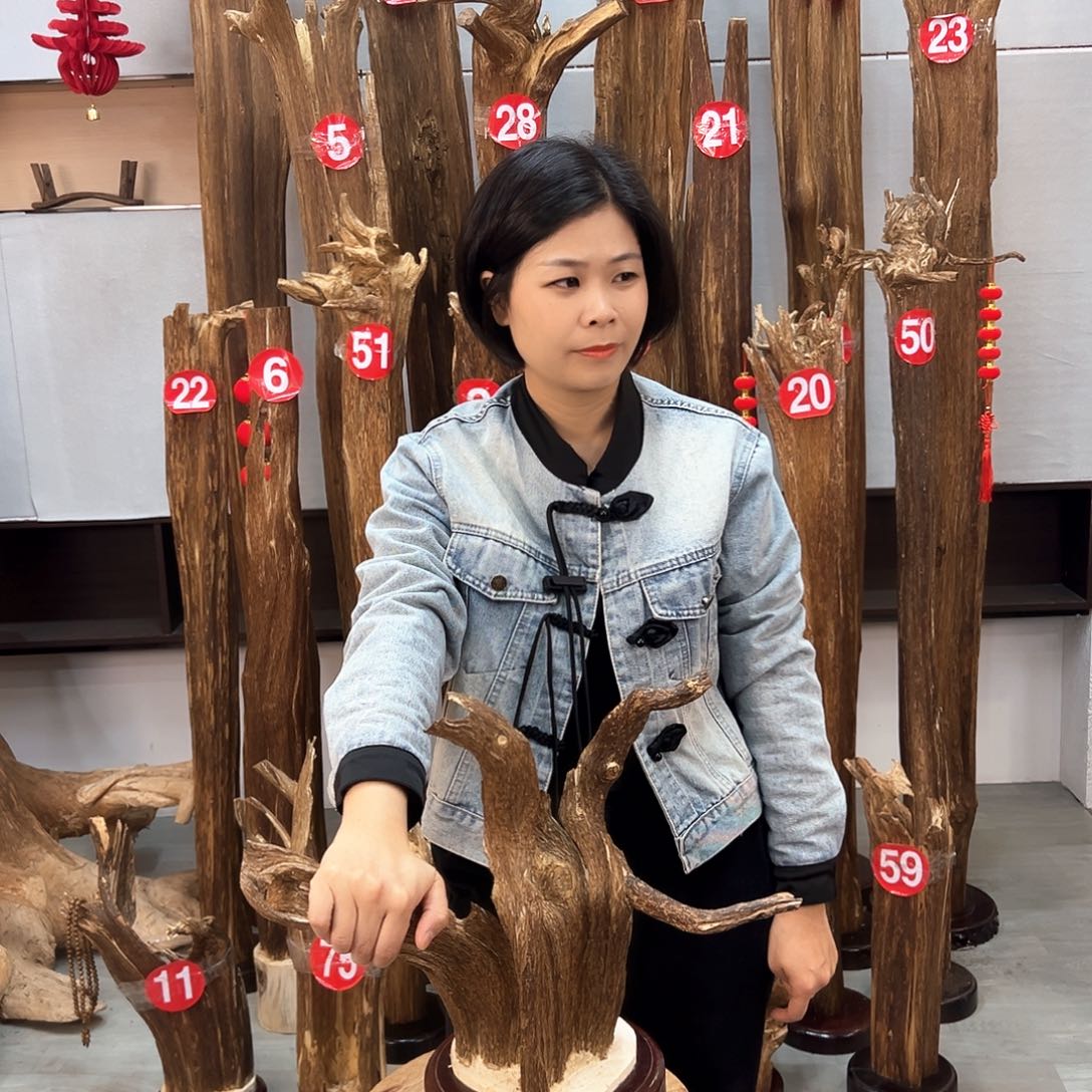 沉香摆件沉香摆件