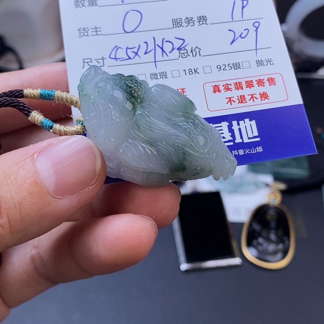 风***子翡翠未镶嵌颈饰翡翠