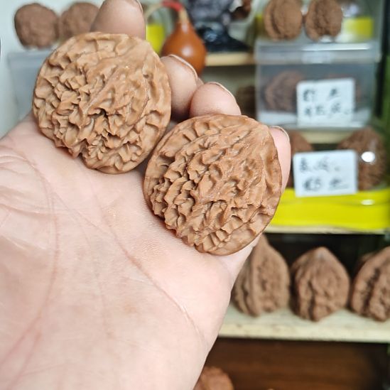 44尺寸野生无名小众