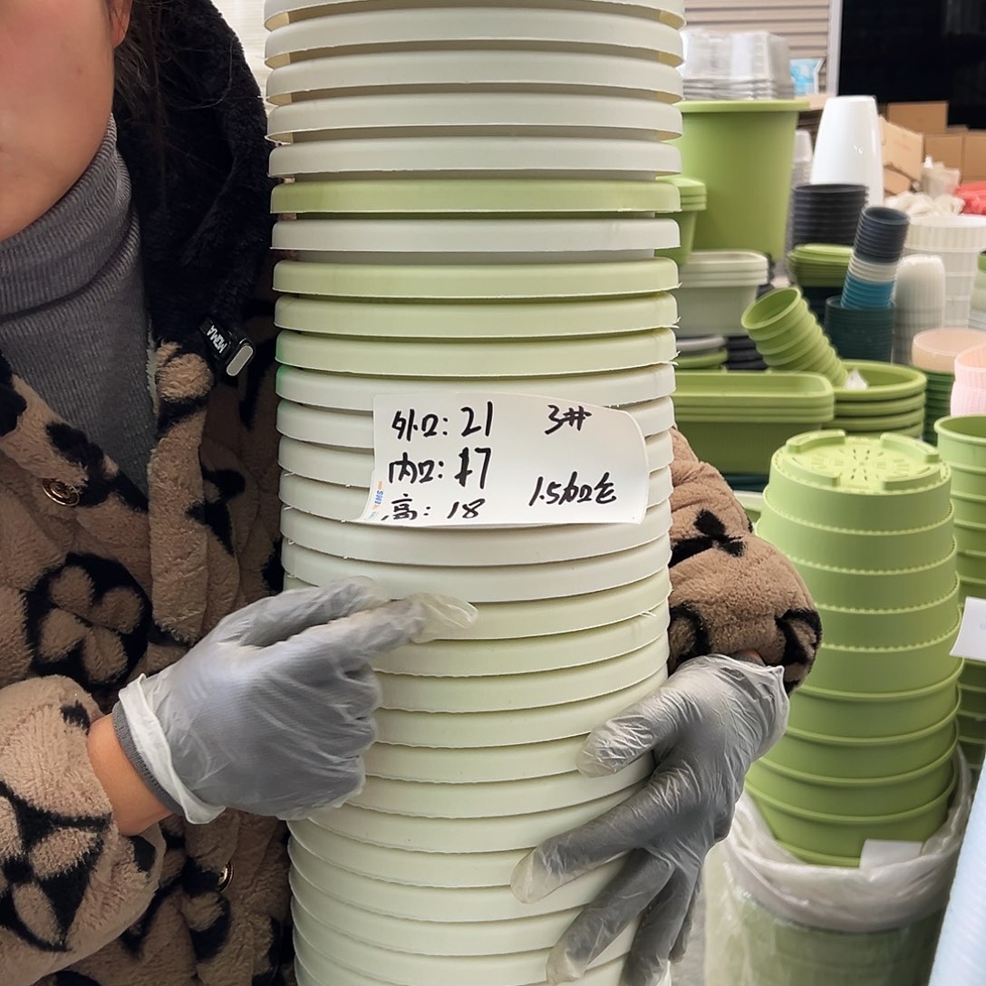 瑕疵四季盆3#白色串12个无托