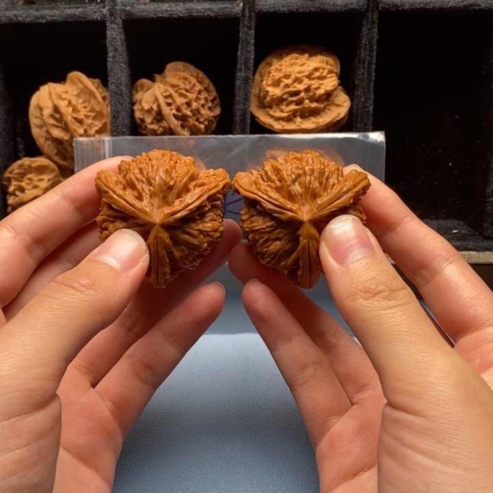 无***！手串/手链核桃文山哈哈哈哈哈