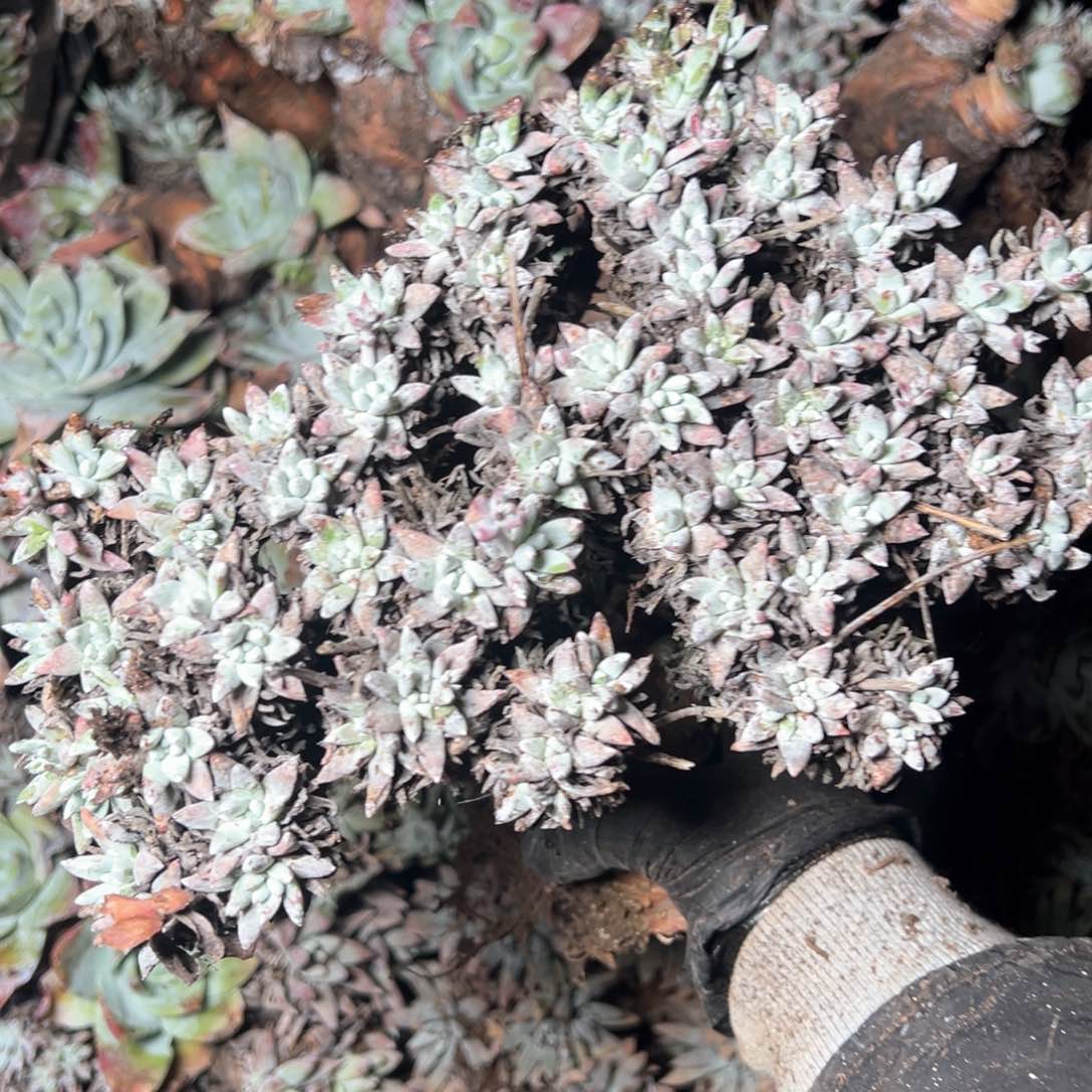 5860哈哈哈哈哈哈哈哈哈