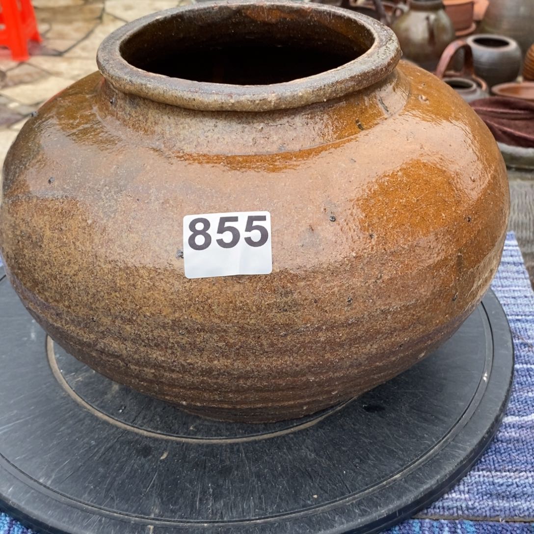 樂***室罐养花养花养花养草养花养