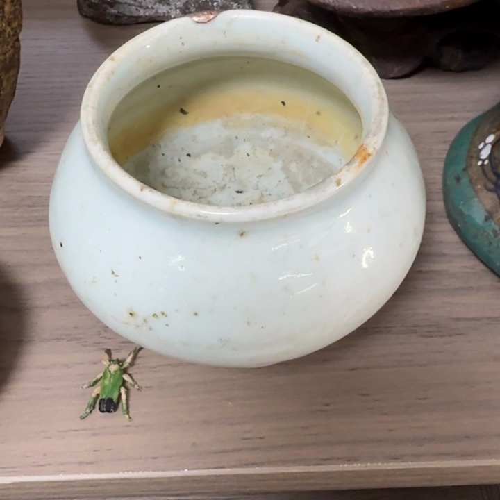 如***电好评好评好评好评好评