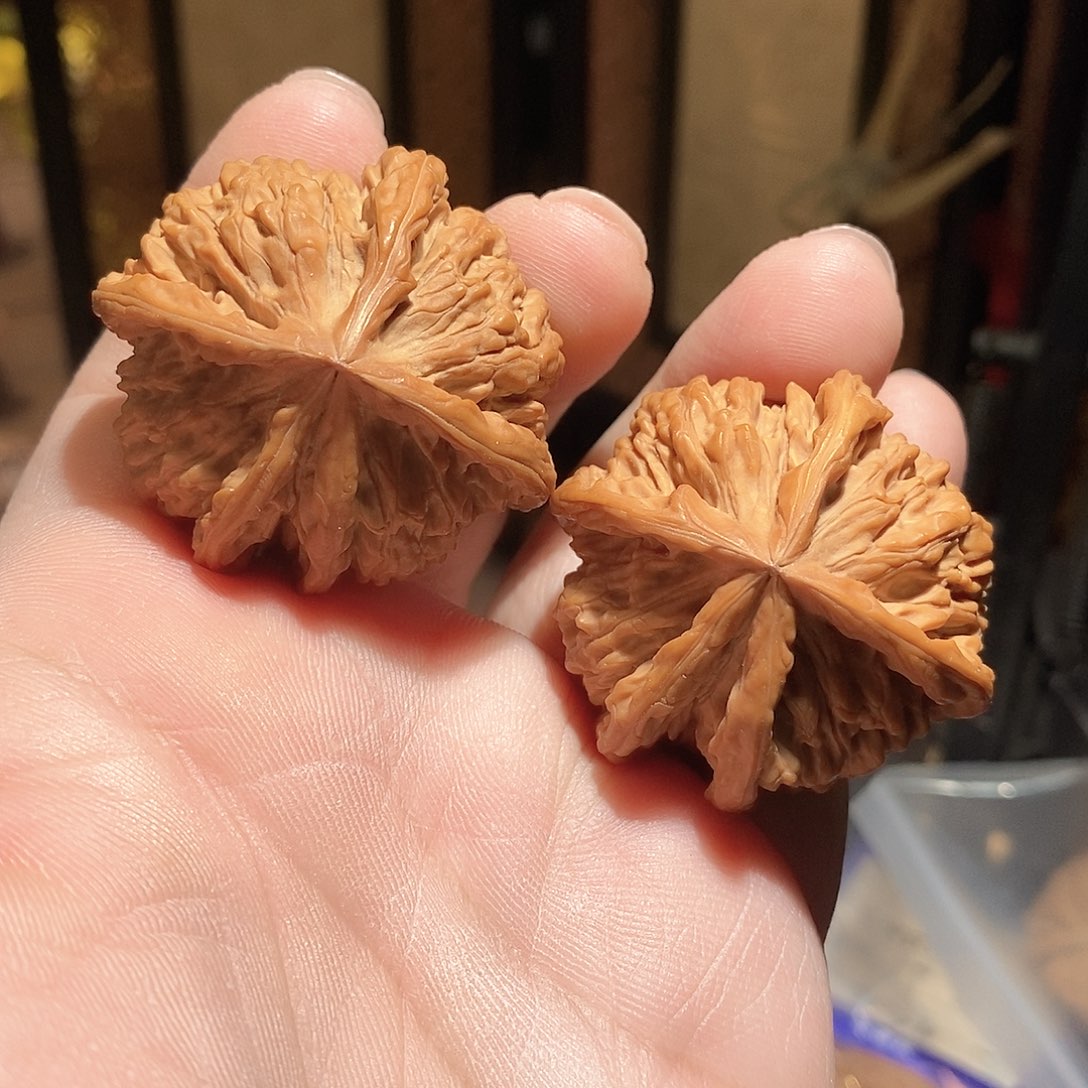 文玩核桃把件王勇五棱