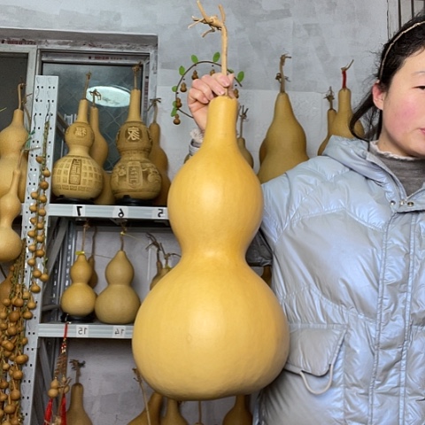 蓝*天然植物葫芦文玩