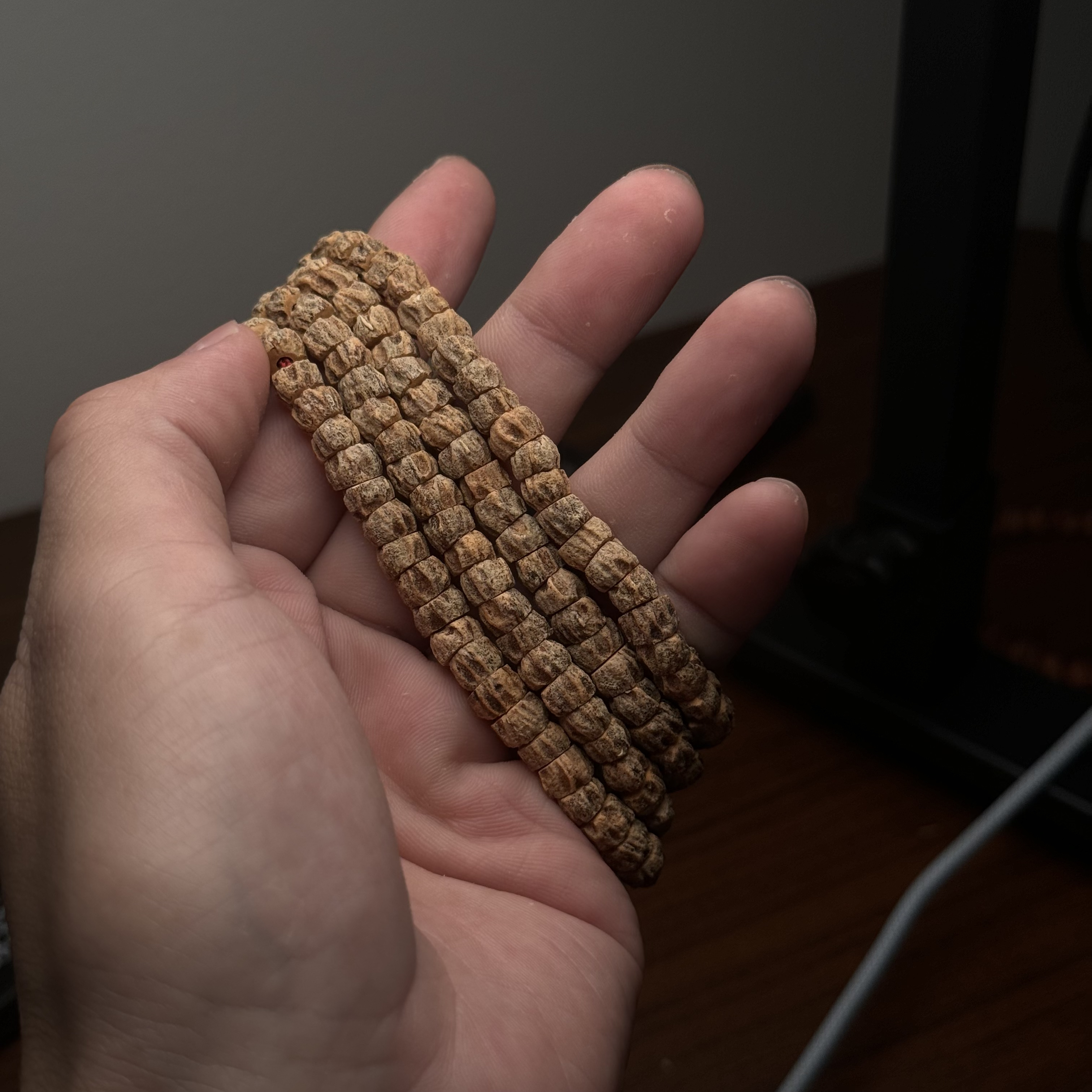 热振柏香籽红芽铁锈皮斜切肠皮质很麻